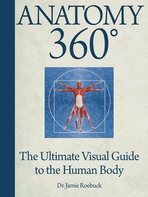 cover image of Anatomy 360